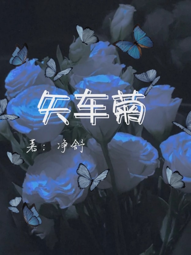 矢车菊