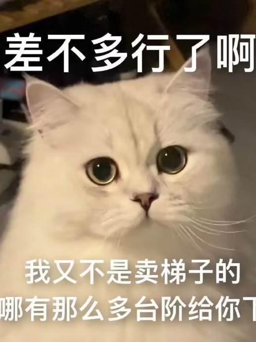 捡到一只小狗