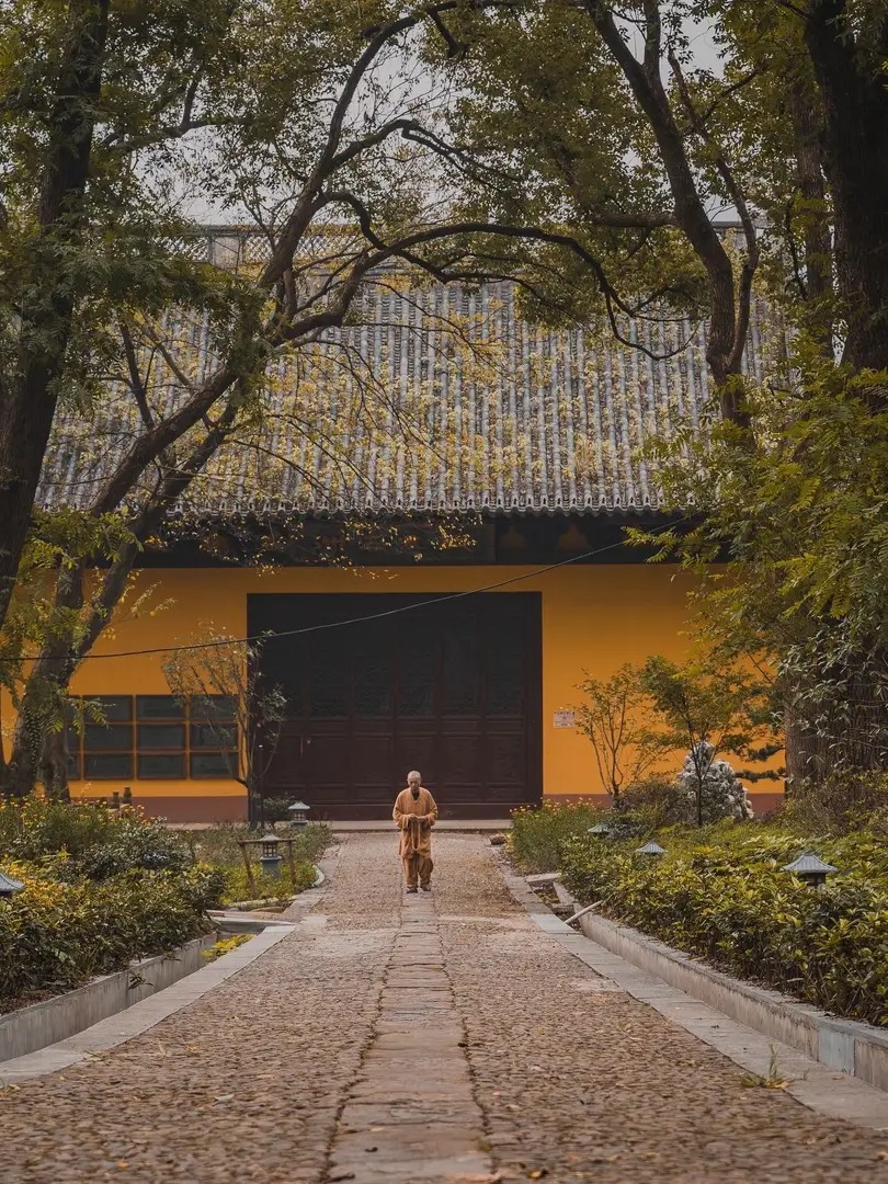 雨中录