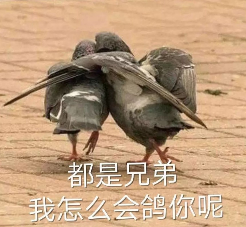 一口一个小馄饨