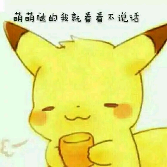 一只比卡丘