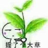 不正经的二狗砸