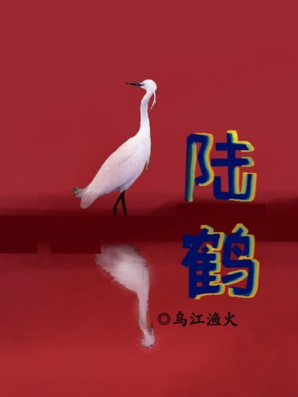 陆鹤