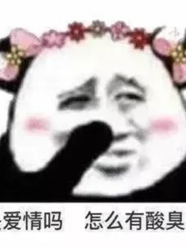 我和我cp的那些事儿