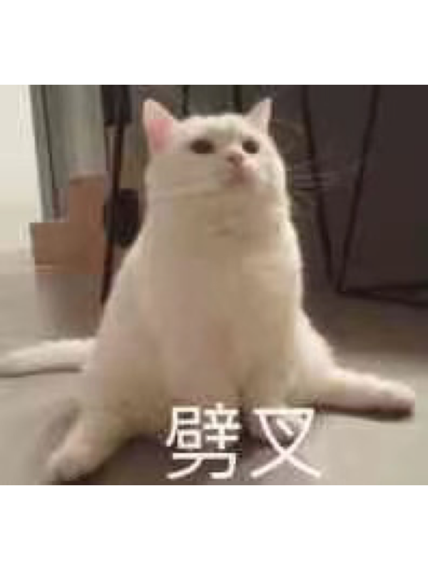 您的小猫咪已上线（关于小猫咪变狗贼的故事）