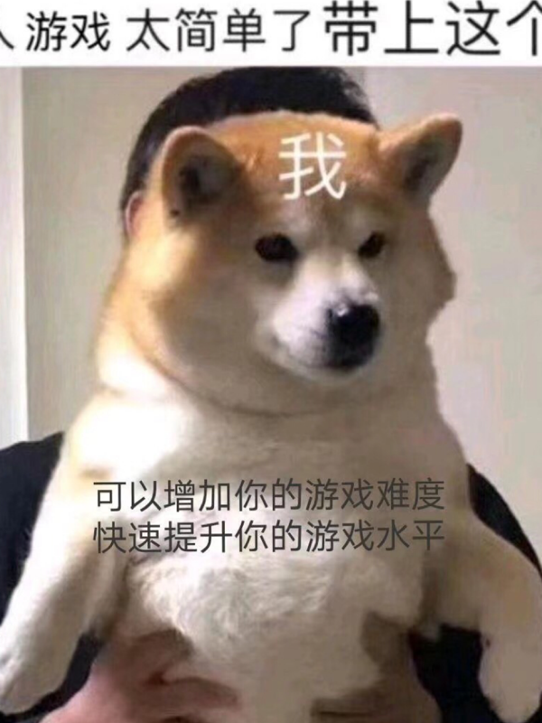 她的目光有所停留