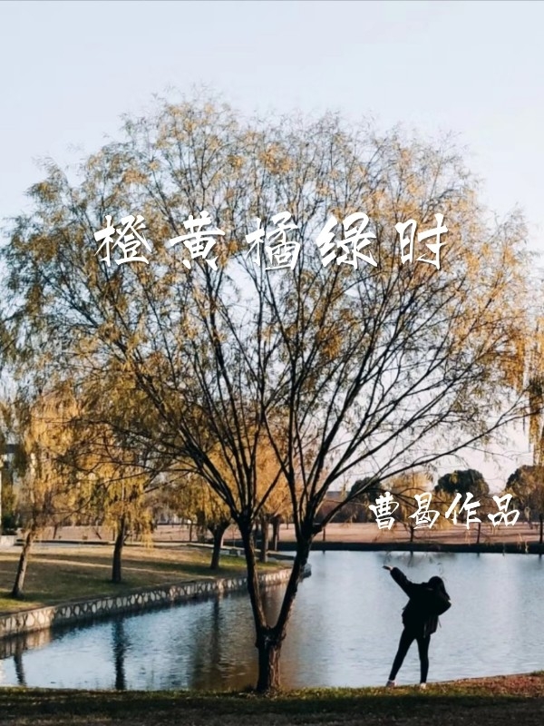 橙黄橘绿时