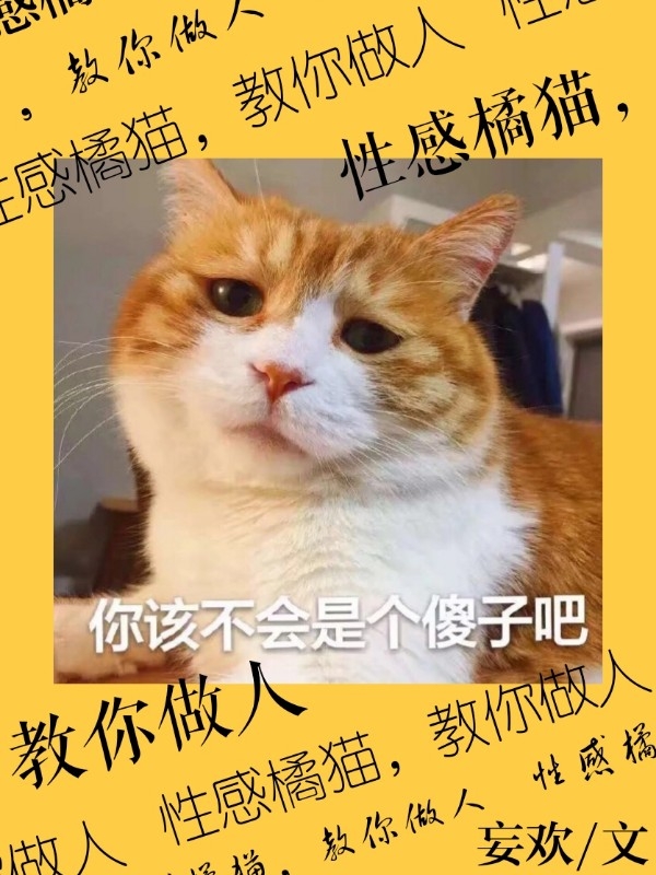 性感橘猫，教你做人