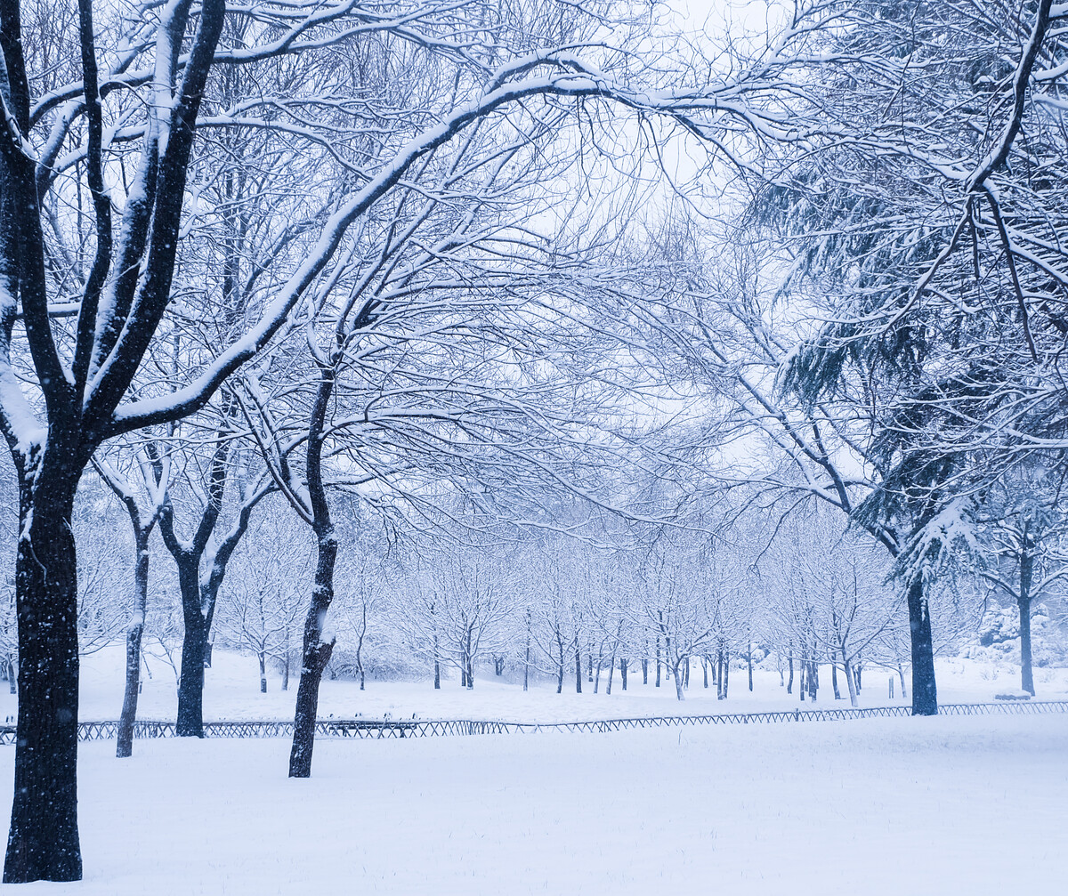 下雪的冬夜